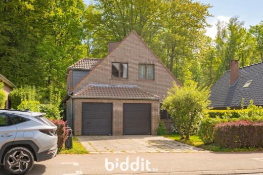 Eerste alternatieve foto van het pand