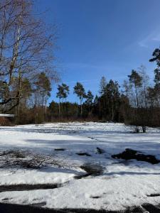 Presentatiebeeld van het pand n° 293031