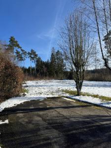 Eerste alternatieve foto van het pand