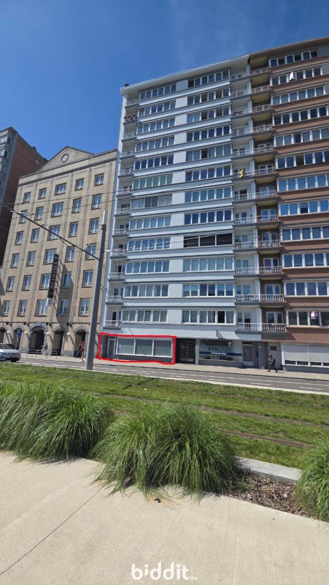 Presentatiebeeld van het pand n° 297307