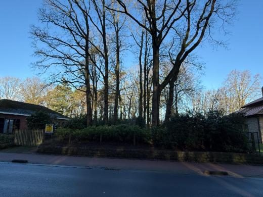 Tweede alternatieve foto van het pand