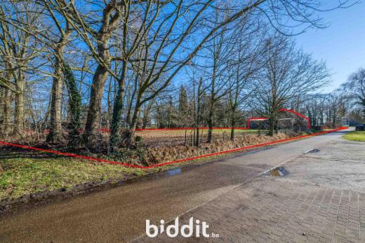 Tweede alternatieve foto van het pand