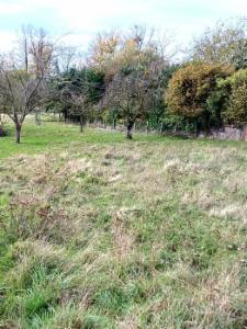 Eerste alternatieve foto van het pand