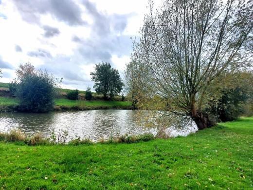 Presentatiebeeld van het pand n° 289784