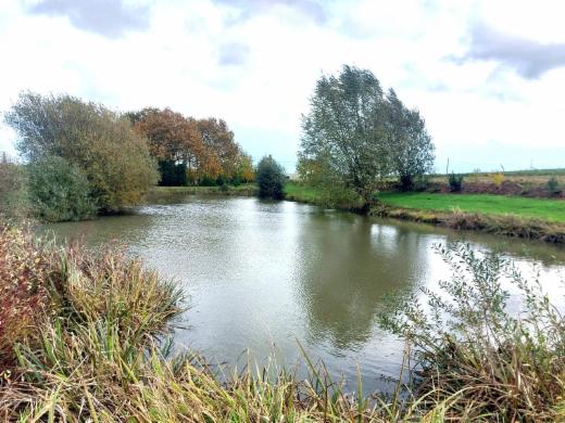 Eerste alternatieve foto van het pand