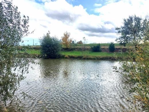 Tweede alternatieve foto van het pand