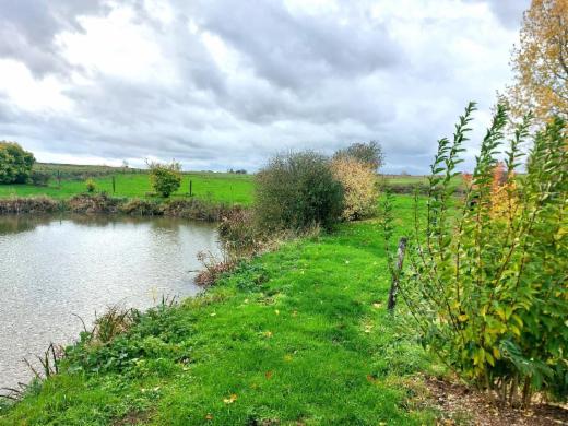 Derde alternatieve foto van het pand