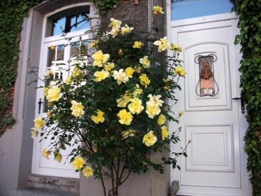 Eerste alternatieve foto van het pand