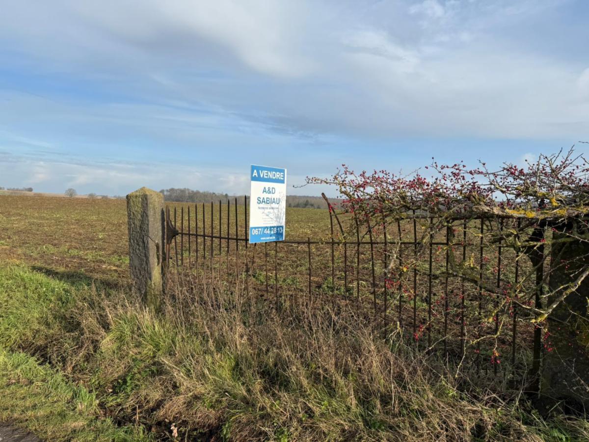 Presentatiebeeld van het pand n° 292101