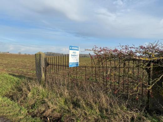 Presentatiebeeld van het pand n° 292101