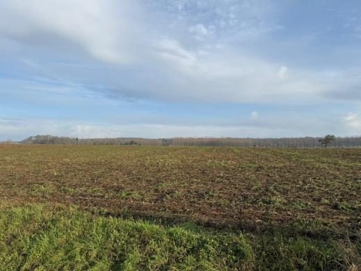 Eerste alternatieve foto van het pand