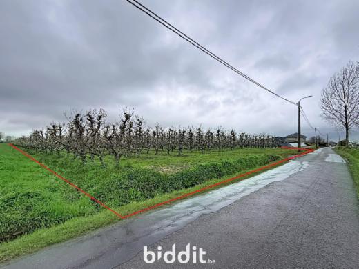 Presentatiebeeld van het pand n° 295736