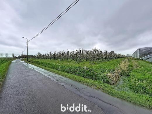 Eerste alternatieve foto van het pand