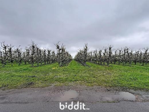 Tweede alternatieve foto van het pand