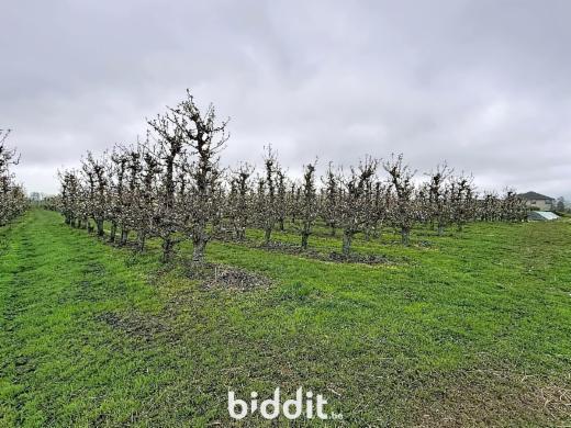 Derde alternatieve foto van het pand