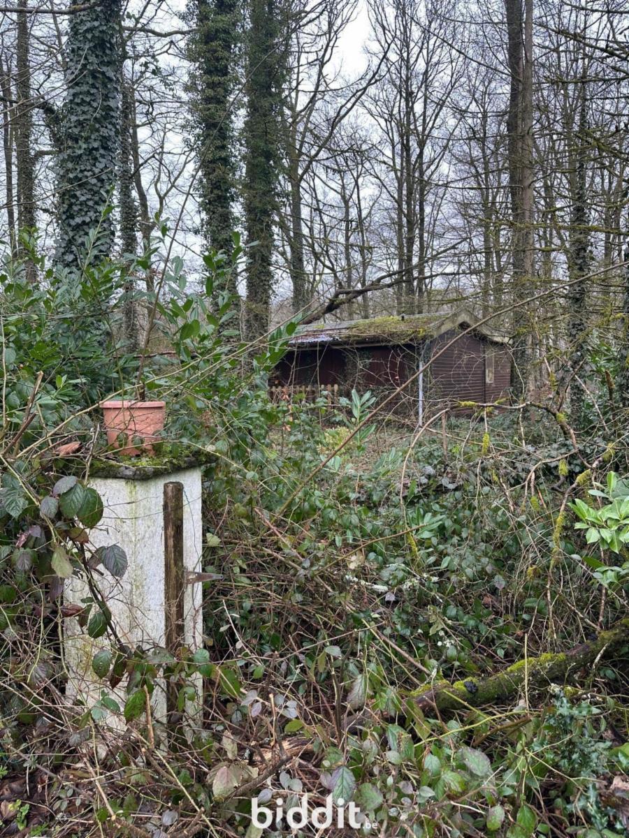 Presentatiebeeld van het pand n° 290713