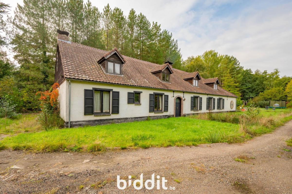 Presentatiebeeld van het pand n° 289305