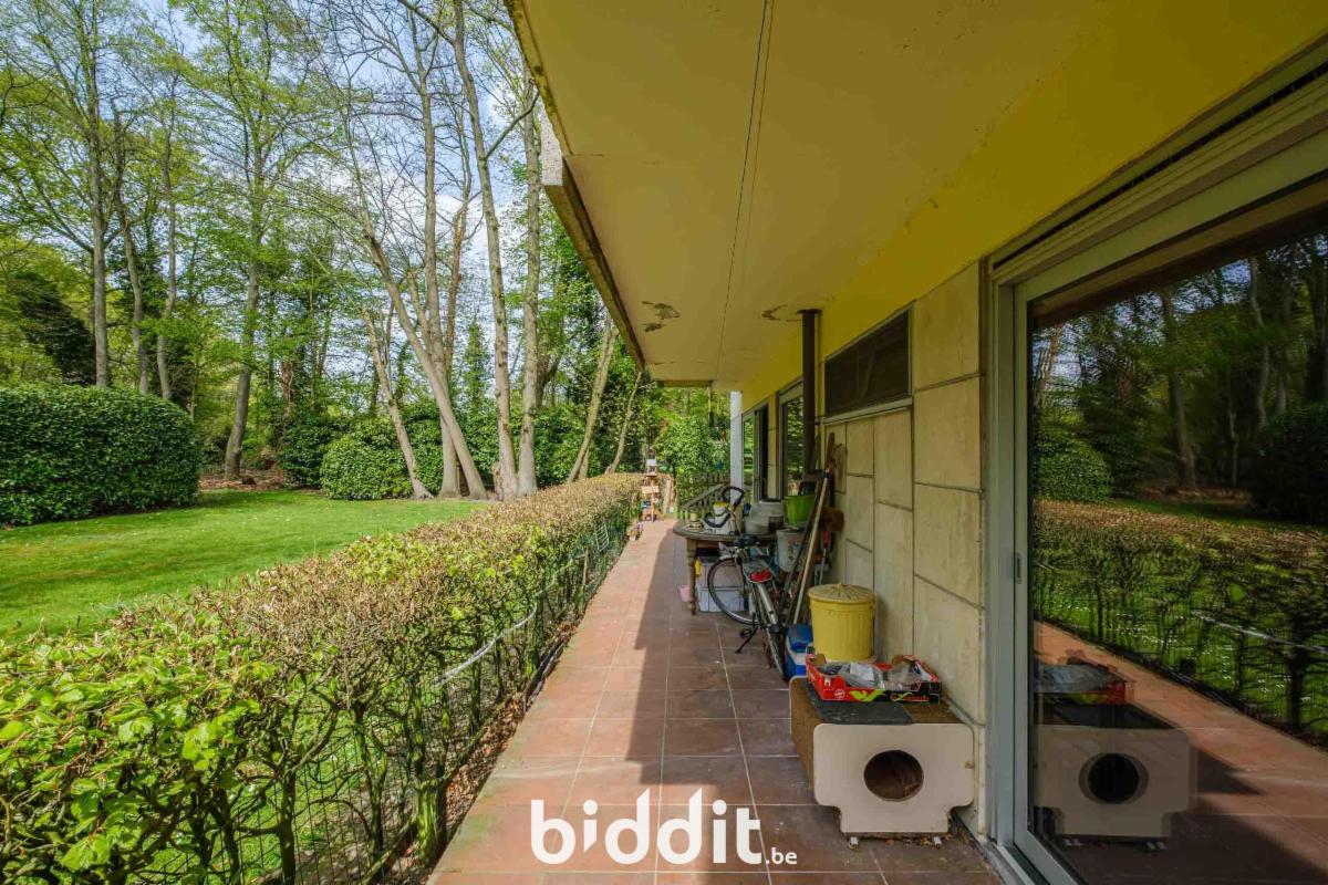 Presentatiebeeld van het pand n° 296374
