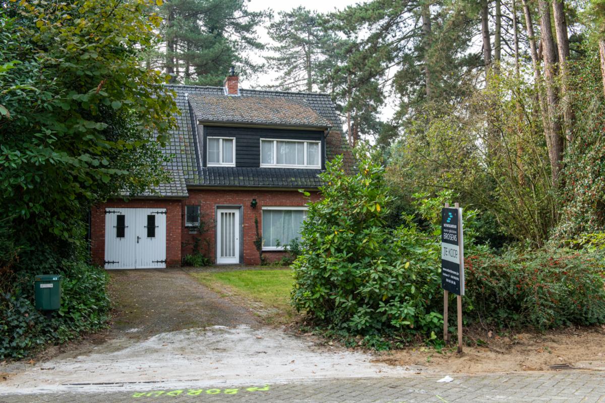 Presentatiebeeld van het pand n° 302430