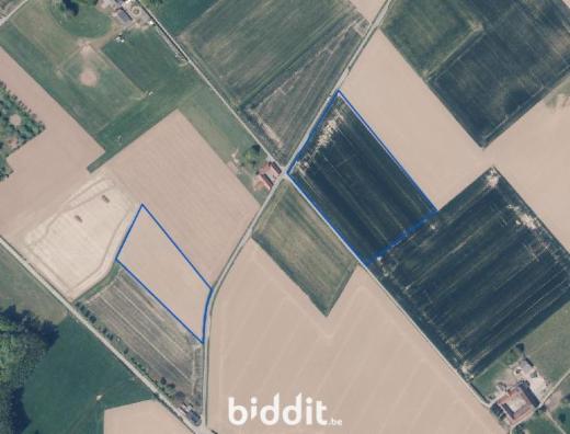 Eerste alternatieve foto van het pand