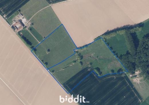 Eerste alternatieve foto van het pand