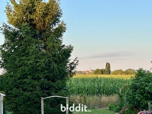 Derde alternatieve foto van het pand