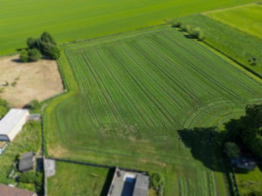 Tweede alternatieve foto van het pand