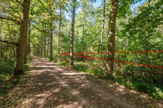 Presentatiebeeld van het pand n° 286257