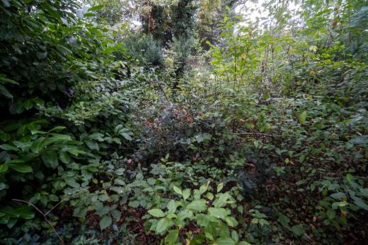 Derde alternatieve foto van het pand