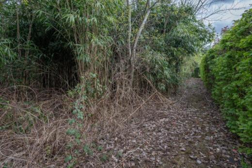 Derde alternatieve foto van het pand