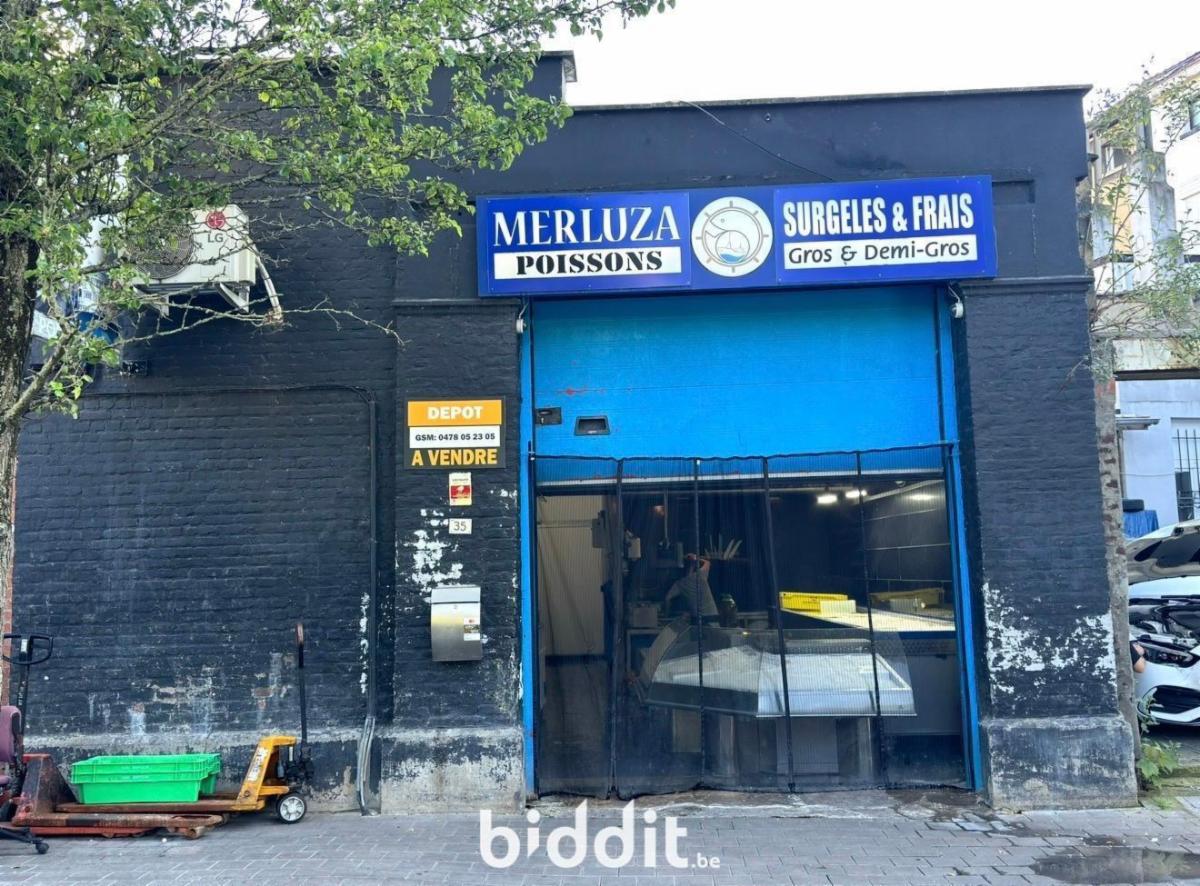 Presentatiebeeld van het pand n° 293102