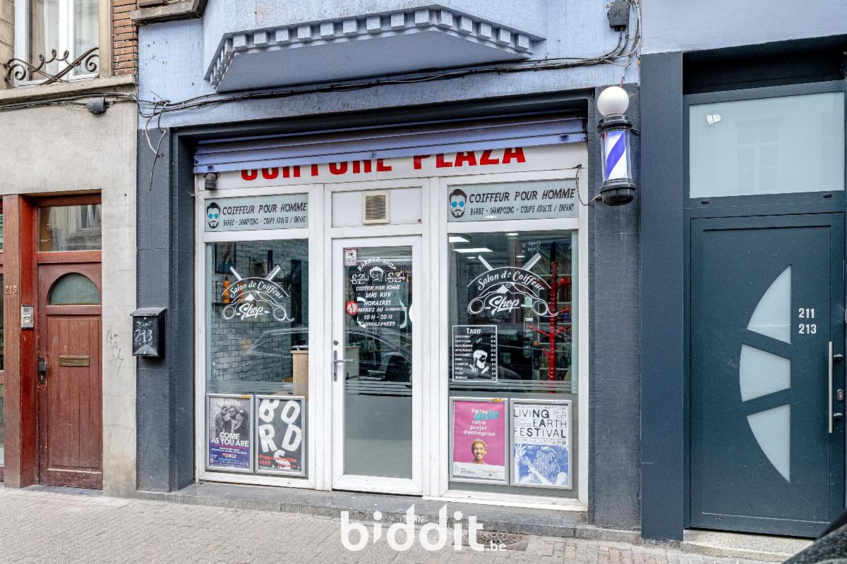 Presentatiebeeld van het pand n° 293309