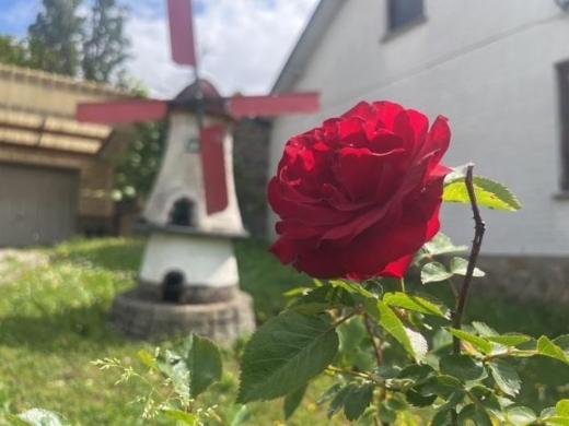 Derde alternatieve foto van het pand