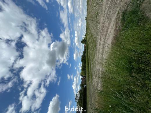 Eerste alternatieve foto van het pand