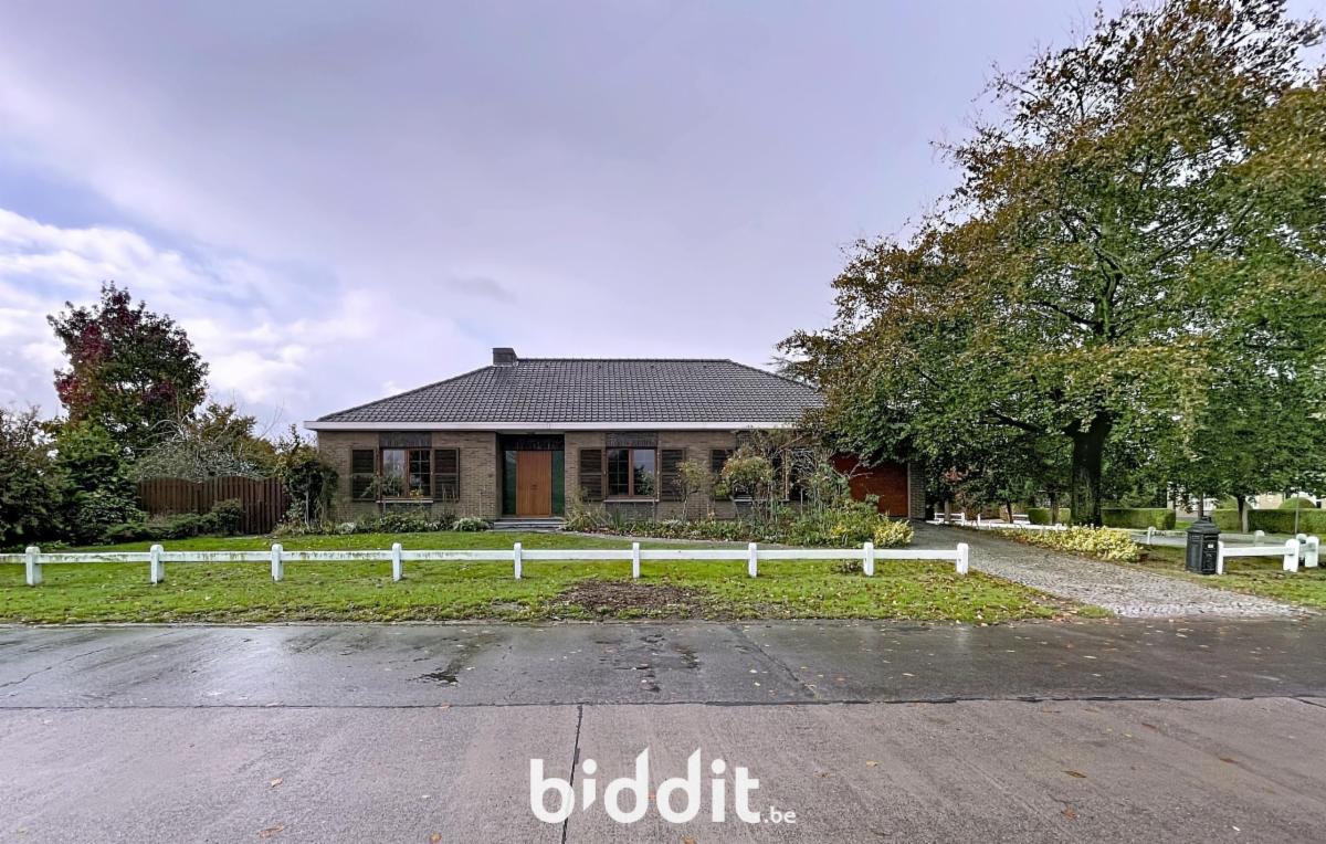 Presentatiebeeld van het pand n° 294894