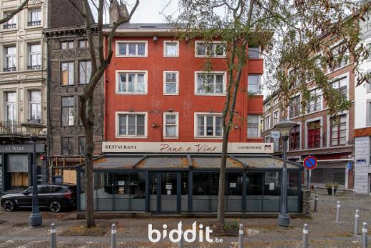 Presentatiebeeld van het pand n° 290977