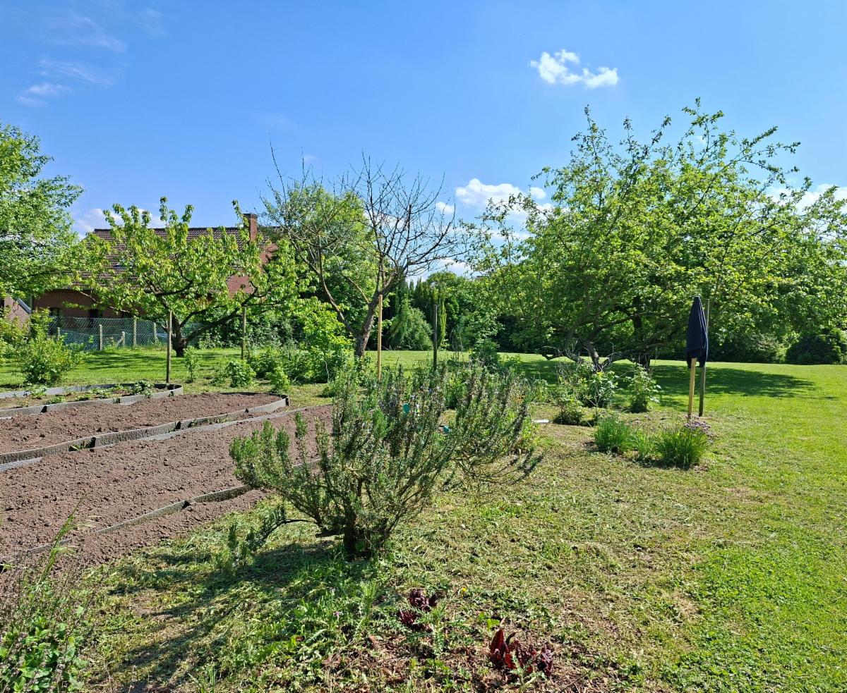 Presentatiebeeld van het pand n° 297171