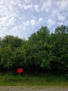 Derde alternatieve foto van het pand