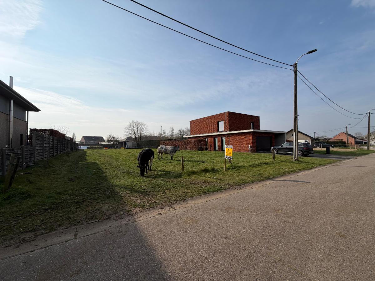 Presentatiebeeld van het pand n° 294271