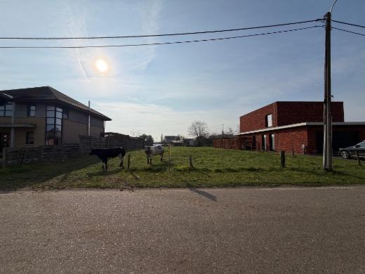 Eerste alternatieve foto van het pand