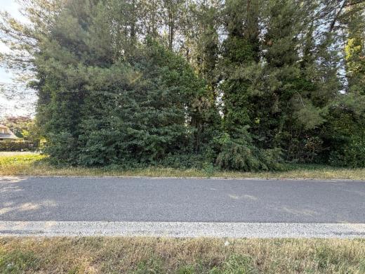 Tweede alternatieve foto van het pand