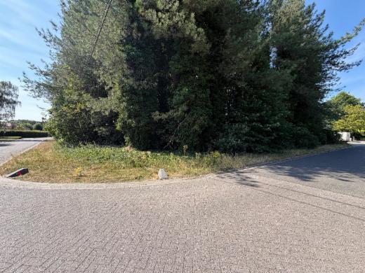 Derde alternatieve foto van het pand