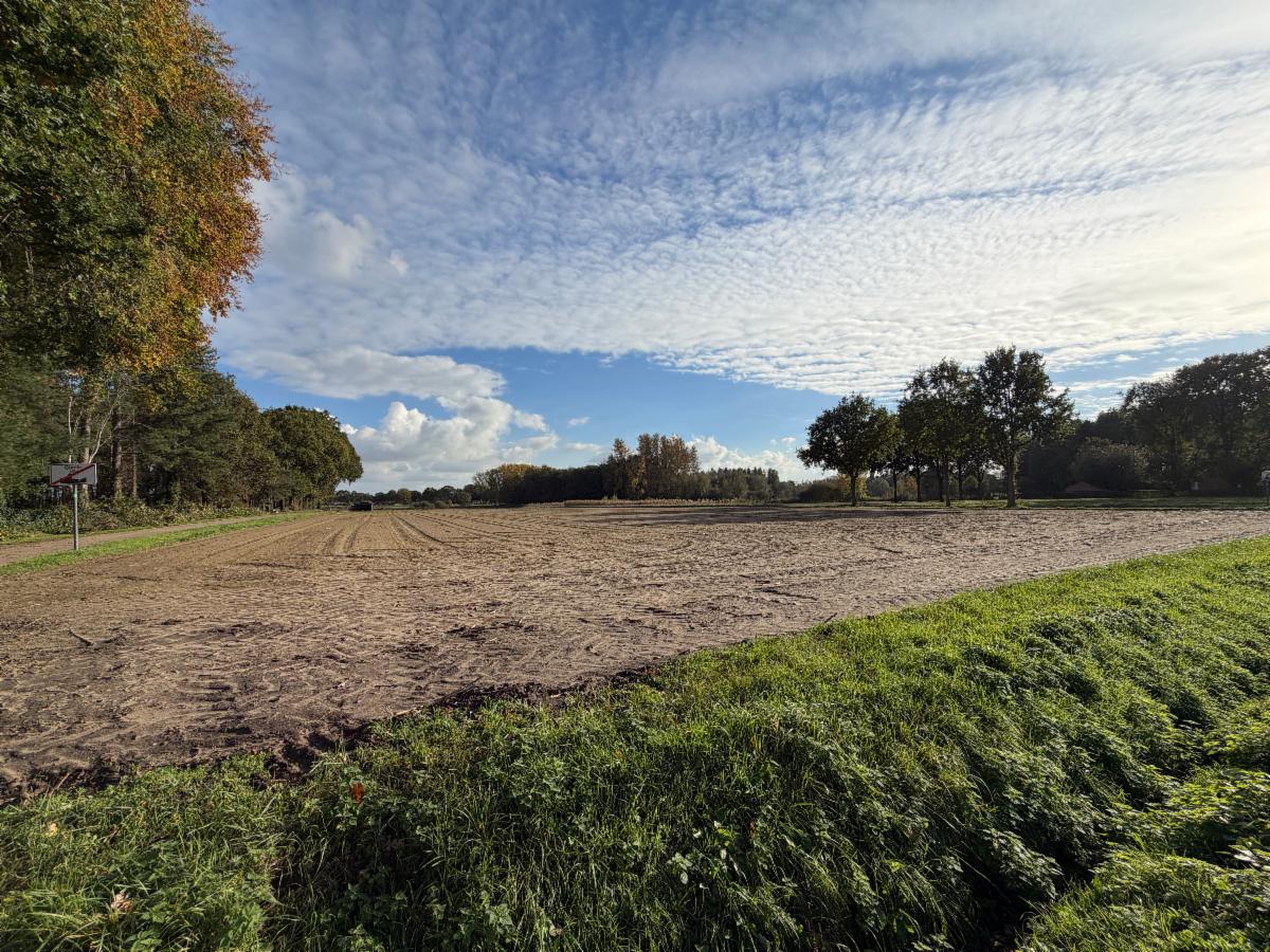 Presentatiebeeld van het pand n° 303704