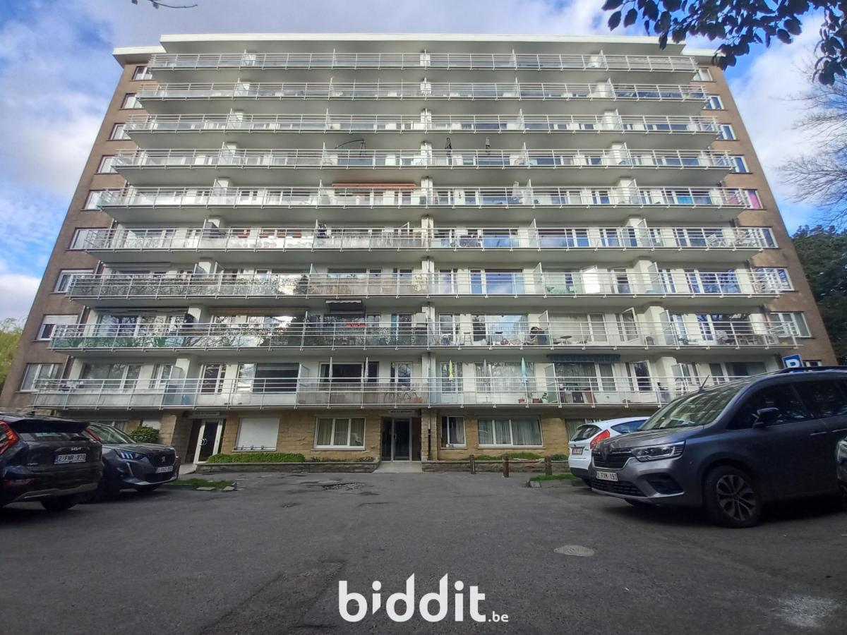 Presentatiebeeld van het pand n° 294546