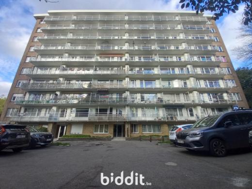 Presentatiebeeld van het pand n° 294546