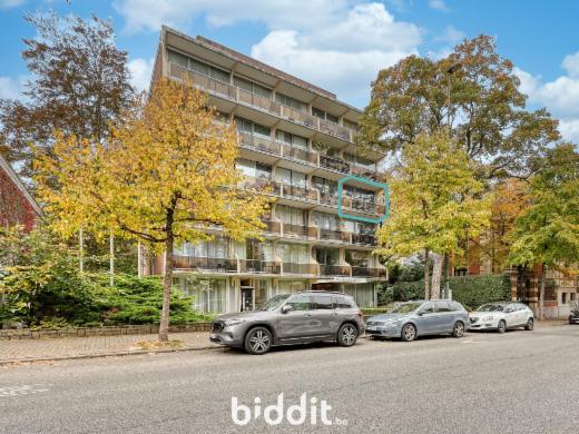 Presentatiebeeld van het pand n° 288540