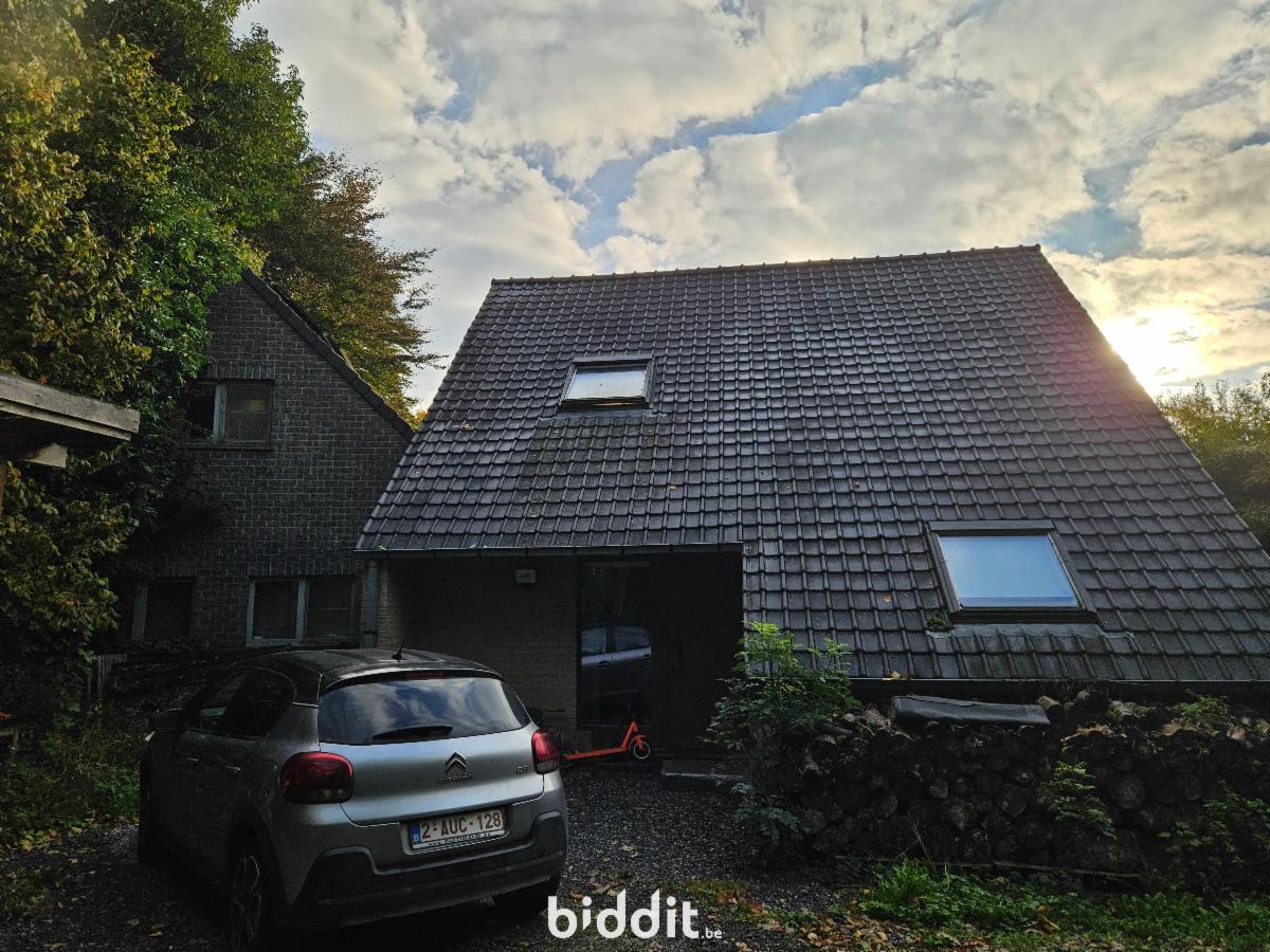 Presentatiebeeld van het pand n° 291945