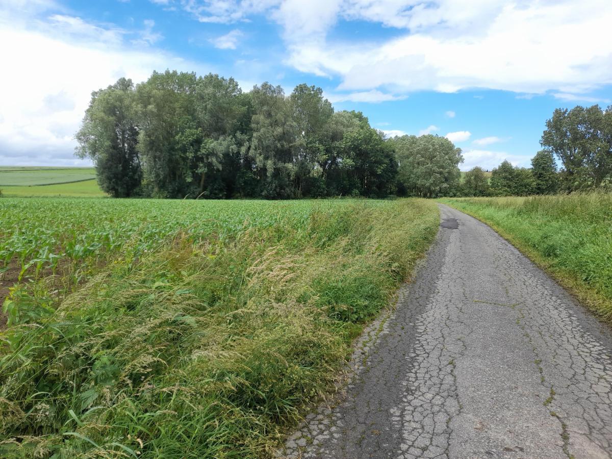 Presentatiebeeld van het pand n° 297710