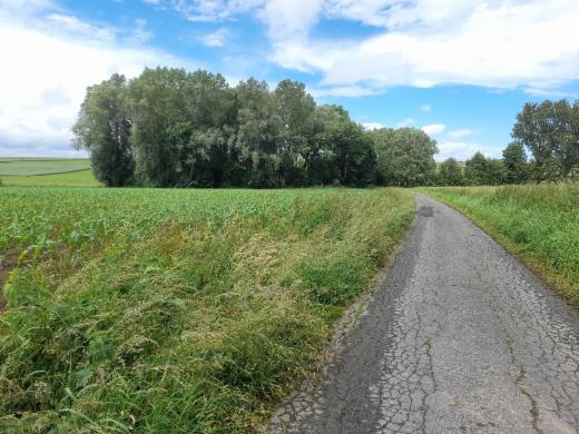 Presentatiebeeld van het pand n° 297710