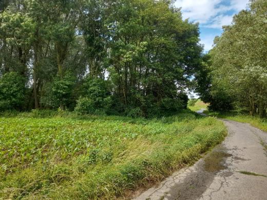 Tweede alternatieve foto van het pand